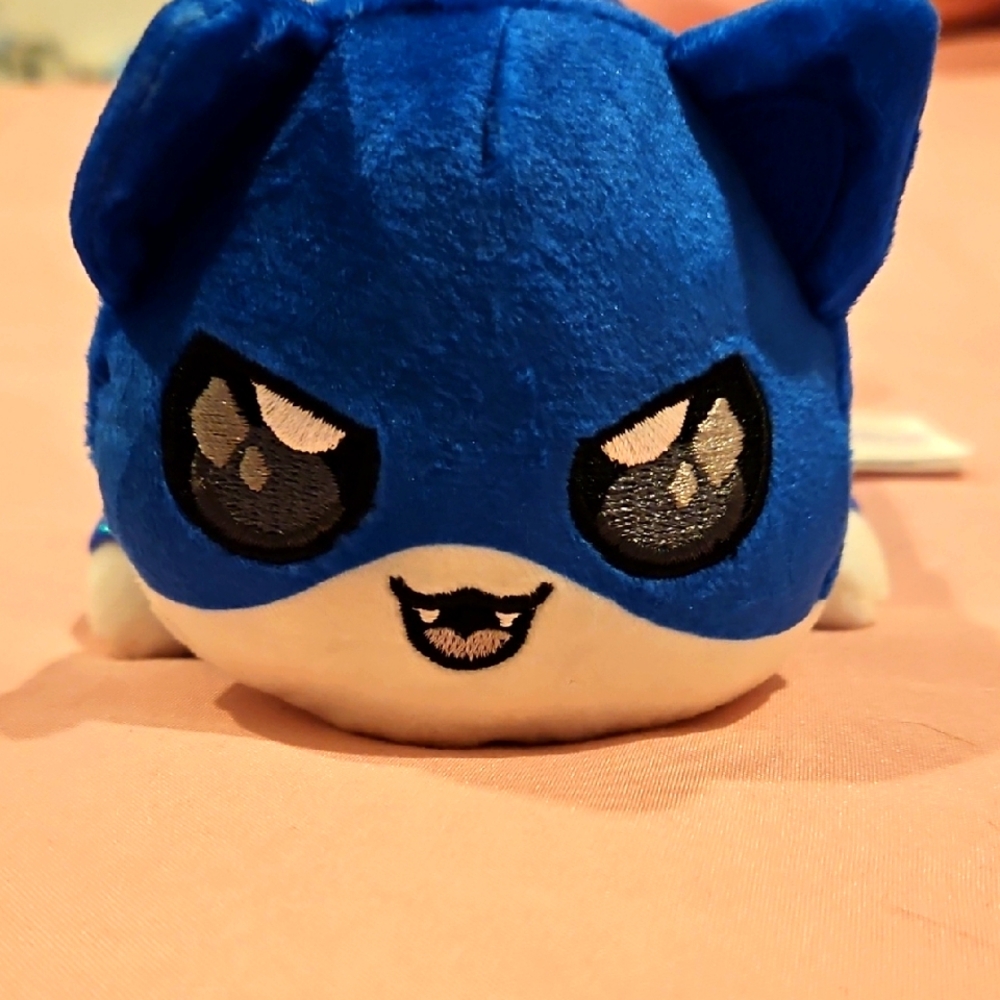 Aphmau Ein Cat